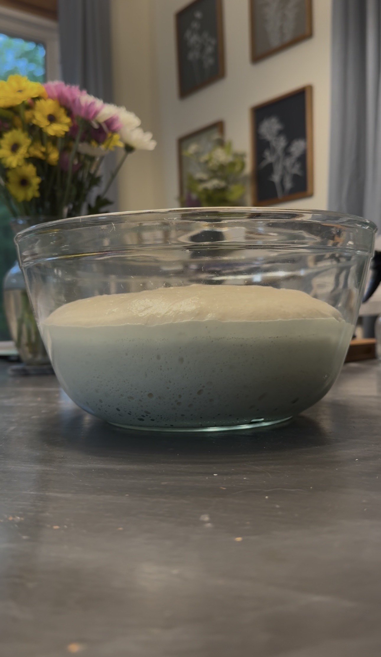 Dough after bulk fermentation