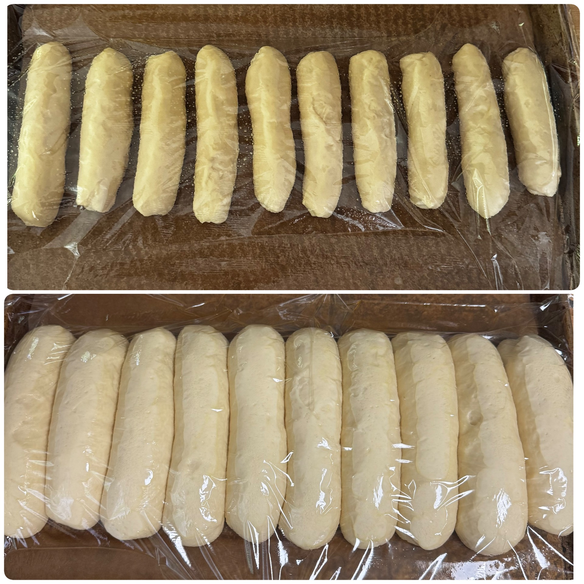 Proofed hot dog buns
